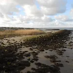 Plattfisch Dornum