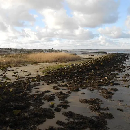 Plattfisch 펜션 돌눔