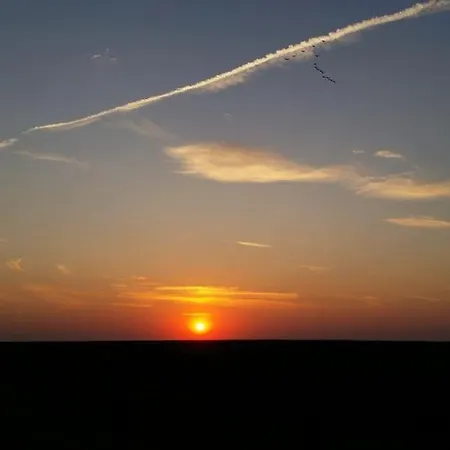 Plattfisch 펜션 돌눔