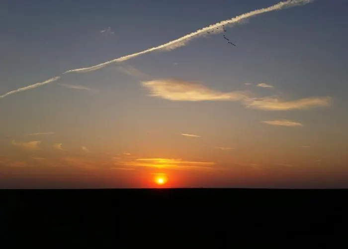 Plattfisch Tatil Evi Dornum